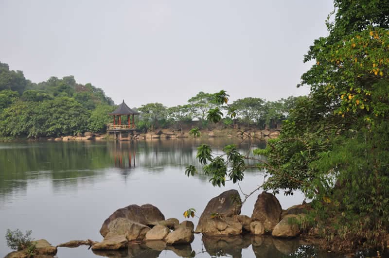 Dịch vụ 2
